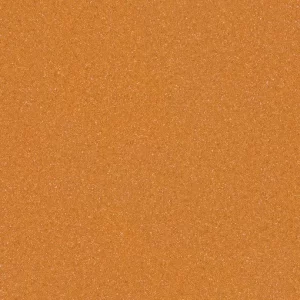 Burnt Orange-9981